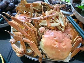 小雅代理ღ招财吖主播照片