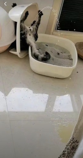 一三不整的图片