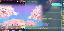 001❤️主播照片