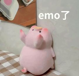 阳阳💕休主播照片