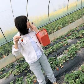 天津大棚管厂（实体）主播照片