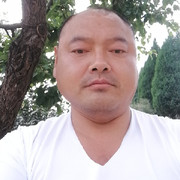 狼山羊官海报