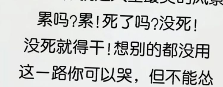 丑小鸭💞愿有一束光的图片