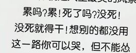 丑小鸭🍑愿有一束光主播照片