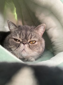 唯一⊙∀⊙！（陌家）主播照片