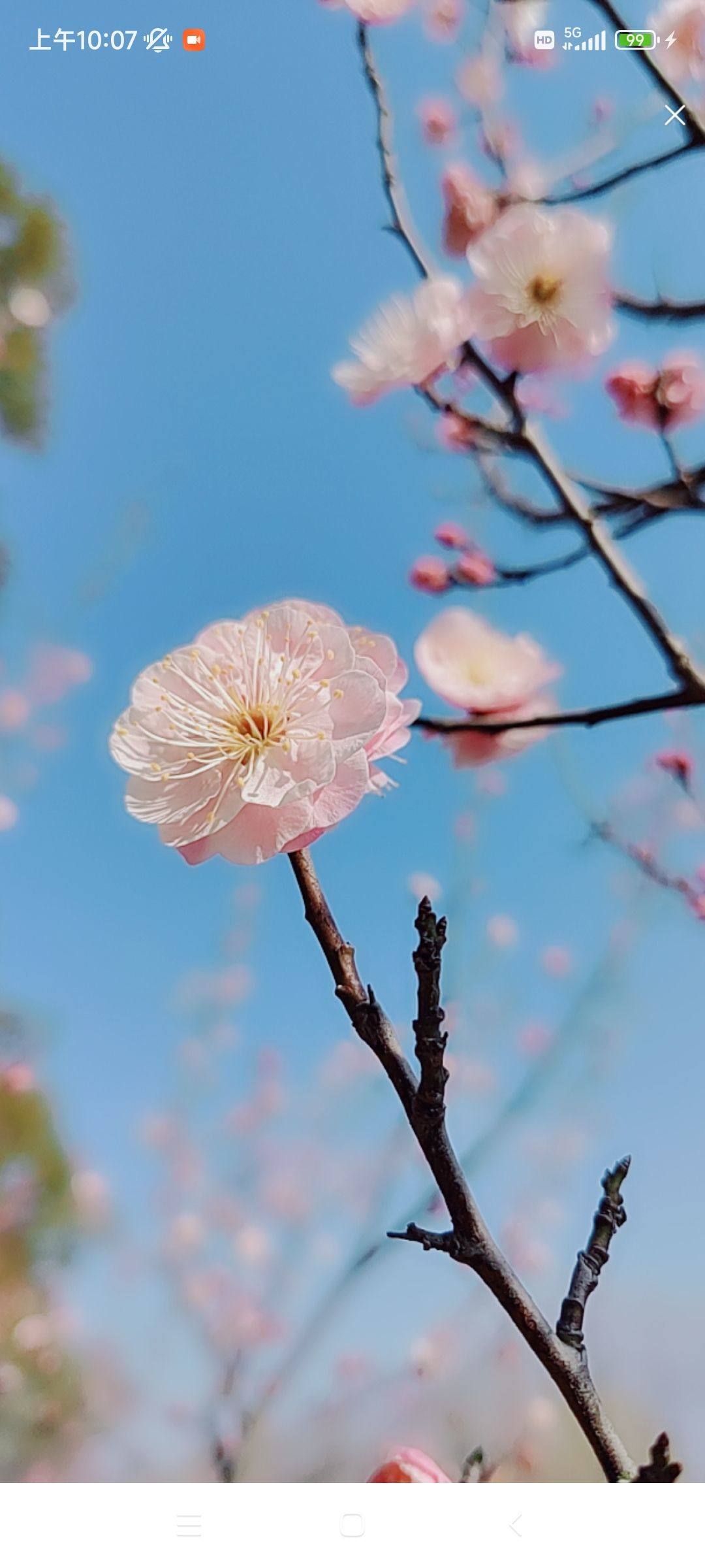 婷婷💕感恩有你陪伴的图片