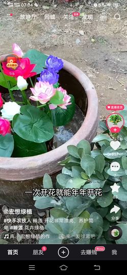 野百合饿晕了🌱🌱主播照片
