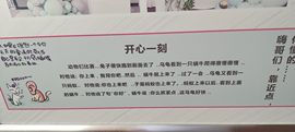 爬墙头的老头的图片
