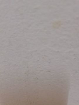 虾仁不留情主播照片