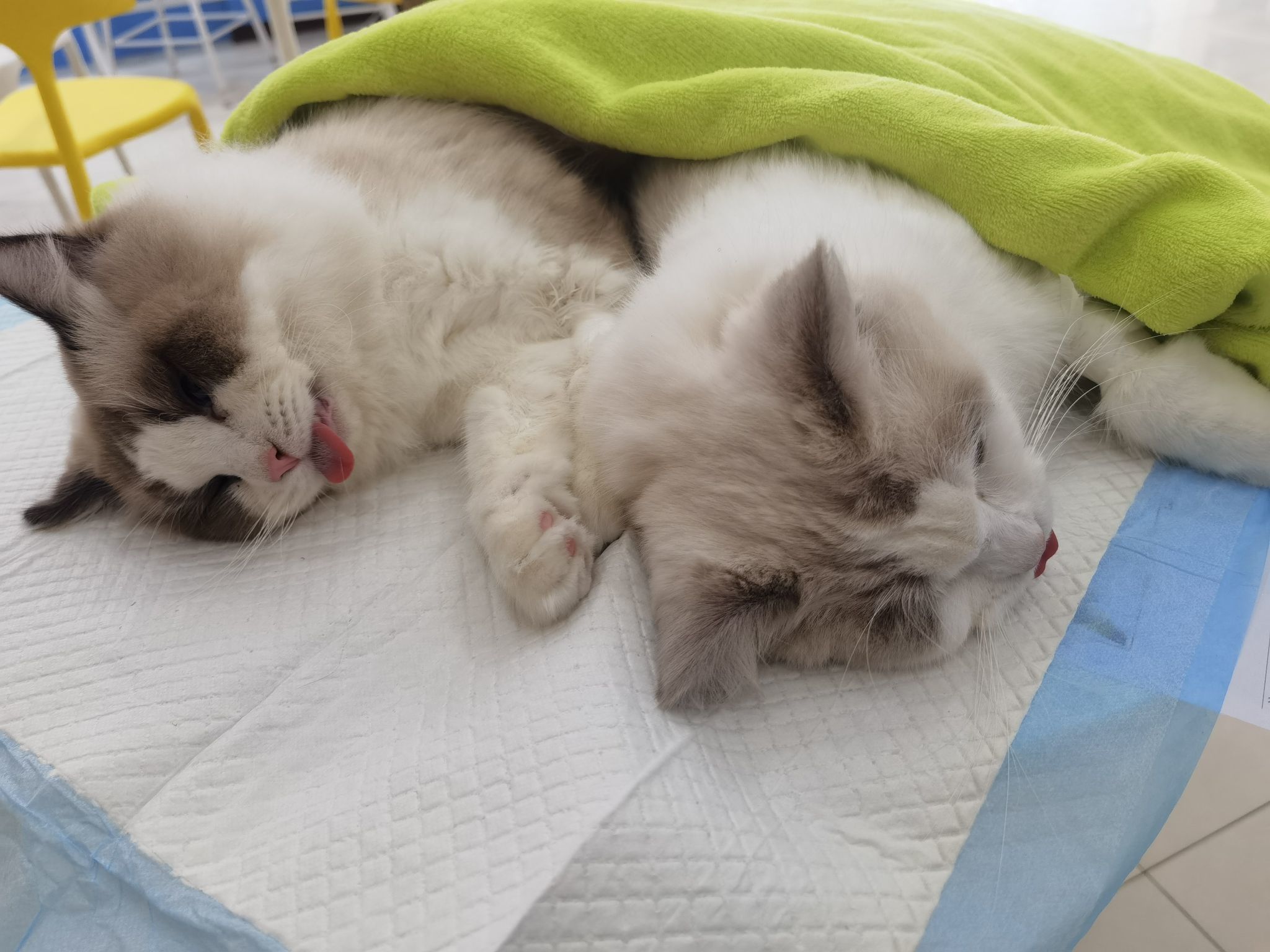 小小千～的图片