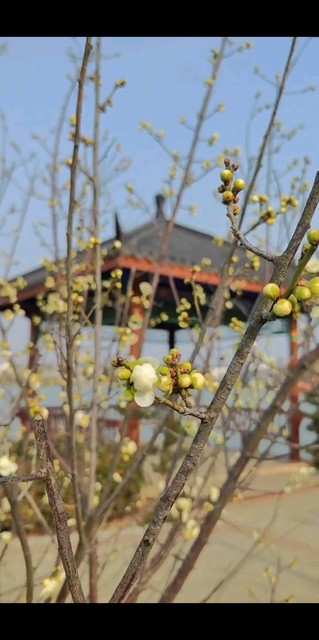 三月你好，做个温暖的