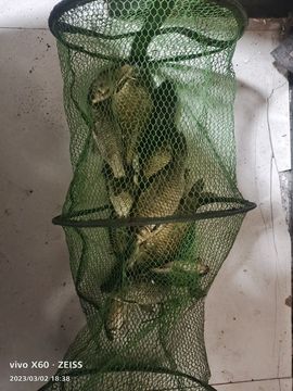 刘.公子主播照片