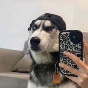 达不溜le