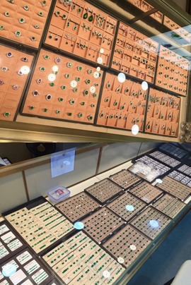 萌新宝宝T7rTtM主播照片