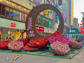 小雅代理ღ招财吖的图片