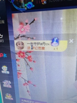 丹是苦菜花主播照片