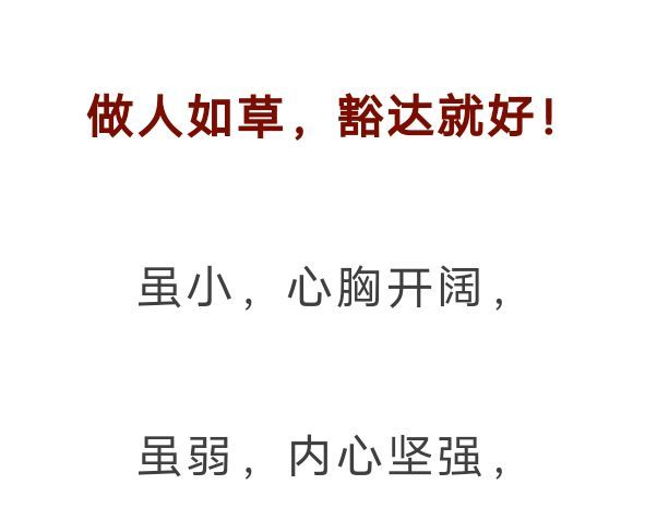 丑小鸭💞愿有一束光的图片