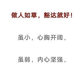 丑小鸭🍑愿有一束光主播照片