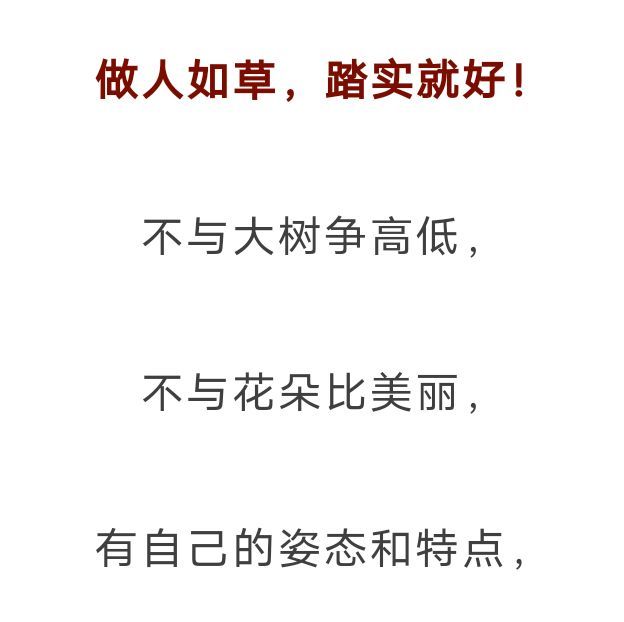 丑小鸭💞愿有一束光的图片