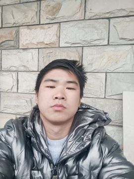 江西的黑象鼩的图片