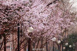 超持久“桑拿天”来了主播照片