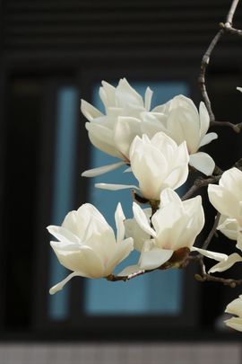 超持久“桑拿天”来了主播照片
