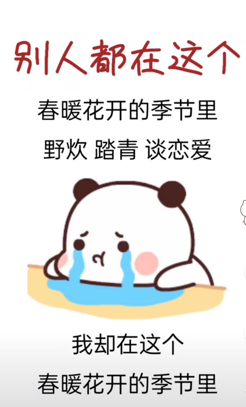 丑小鸭💞愿有一束光的图片