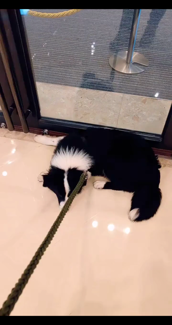 我恢复了原来的样子，