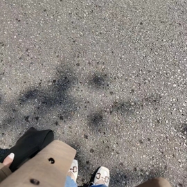 雪菜♫好运好运旺主播照片