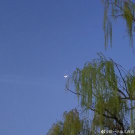 超持久“桑拿天”来了主播照片