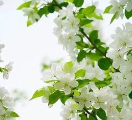 September★主播照片
