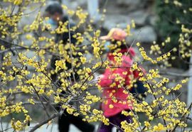 超持久“桑拿天”来了主播照片