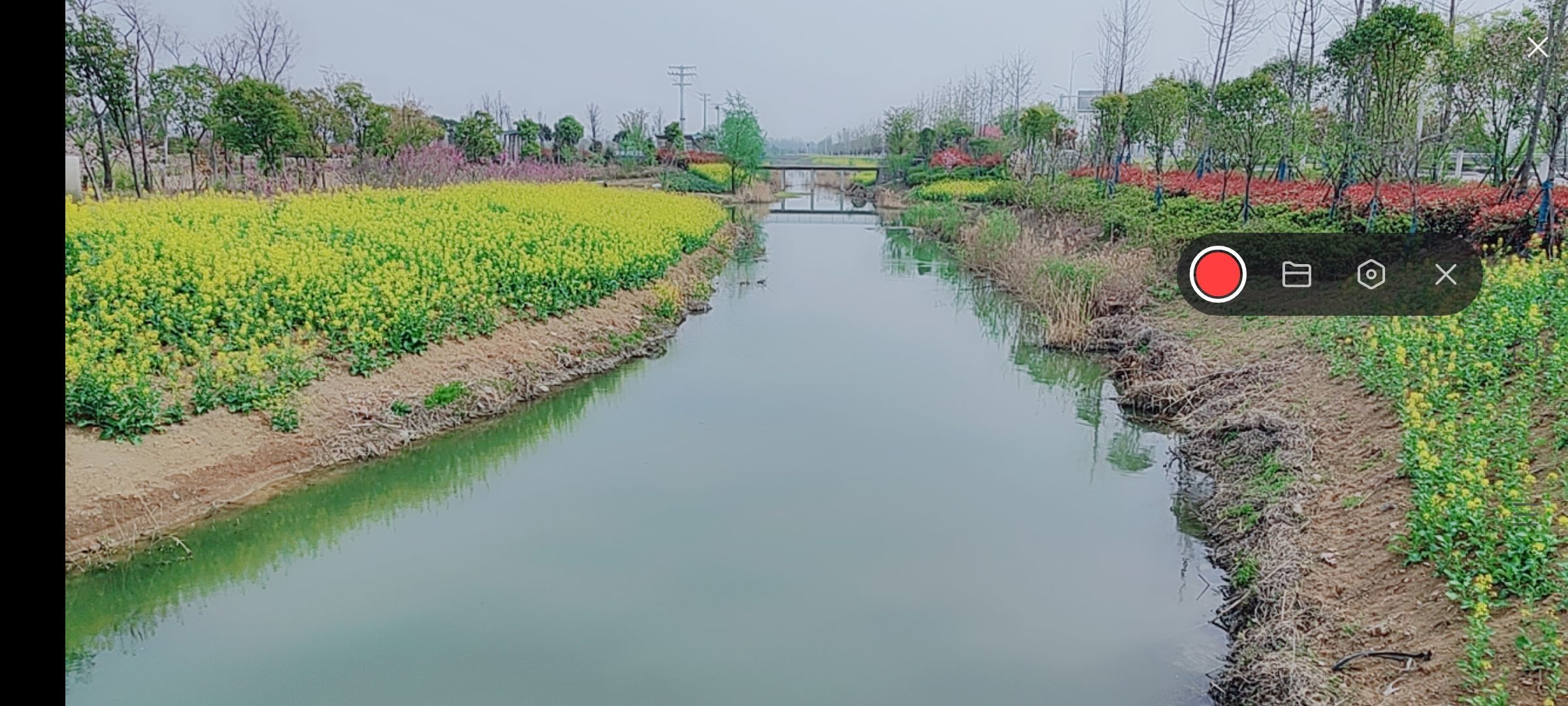 婷婷💕感恩有你陪伴的图片