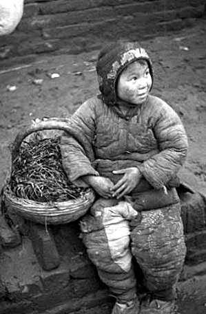 冬眠中勿扰（睡觉）的图片