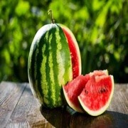 大西瓜.🍉的头像