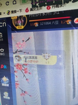丹是苦菜花主播照片