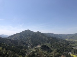 张张美人好好播主播照片