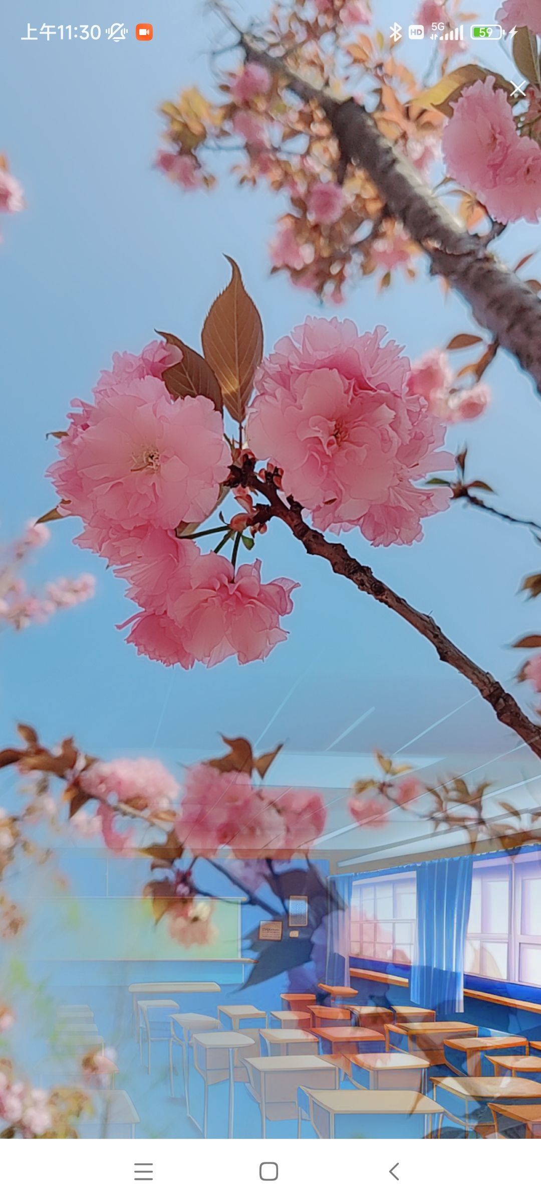 婷婷💕感恩有你陪伴的图片