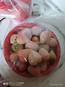 偏爱太过于亮亮主播照片