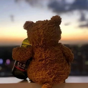 一个人的风景🐻