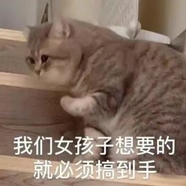 维维🧚‍♂️主播照片