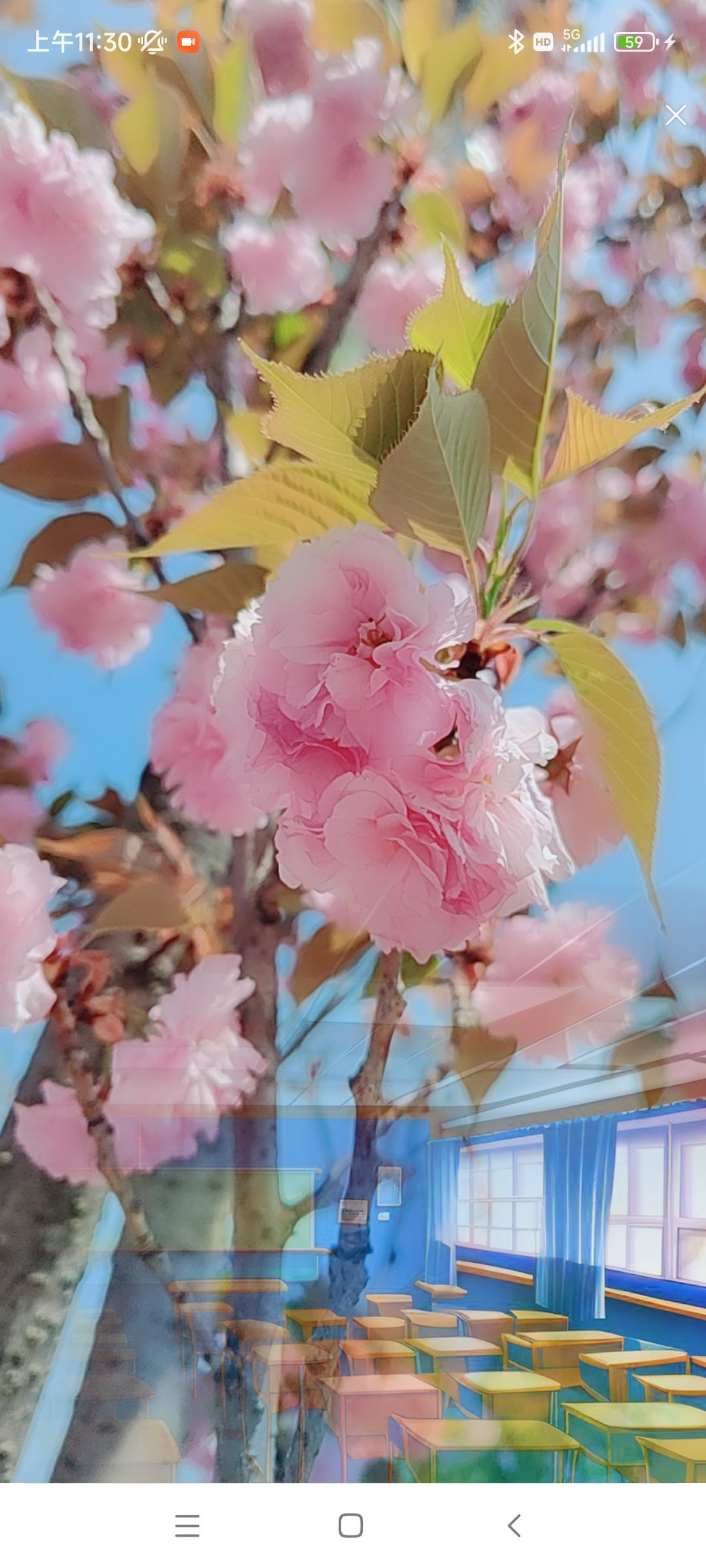 婷婷祝大家五一快乐的图片