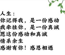 丑小鸭🍑愿有一束光主播照片