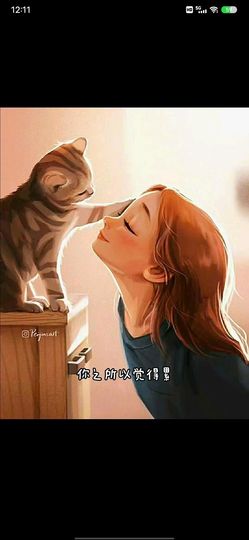 无叶汤的图片