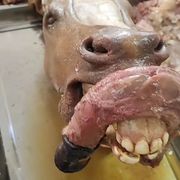 胡萝卜片片片有眼