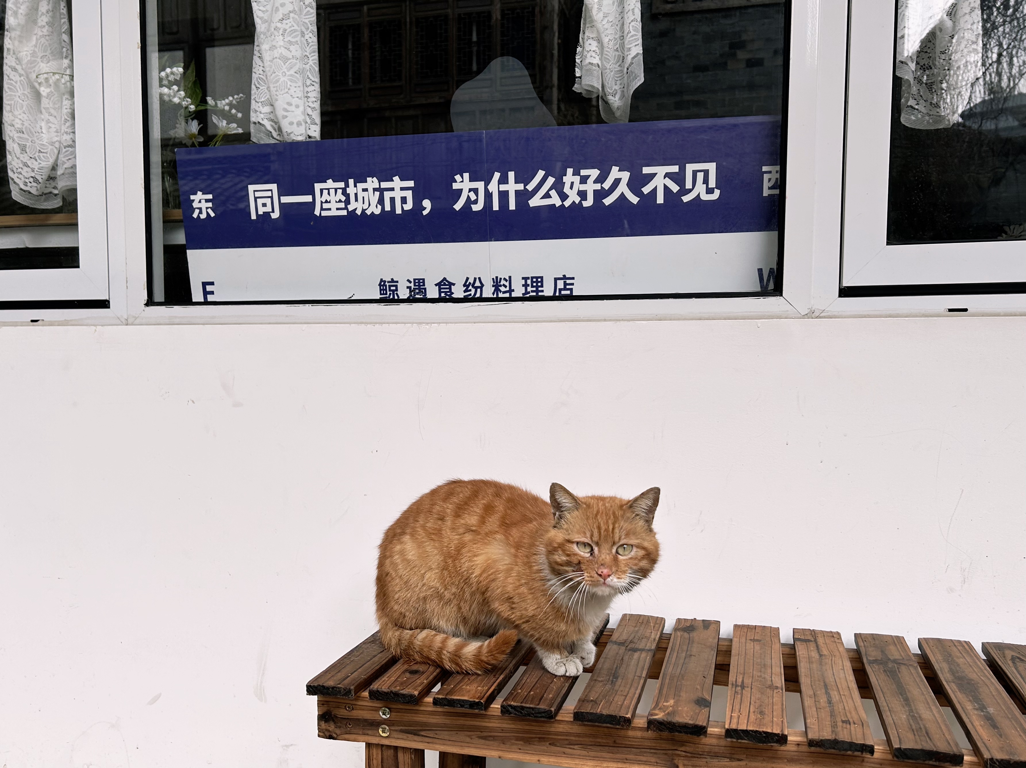 微微暖的主播照片