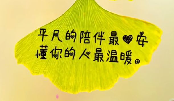 丑小鸭💞愿有一束光的图片