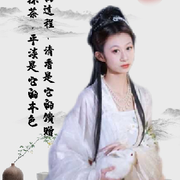 来自吉隆坡的长耳跳鼠