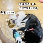 夜微凉✨