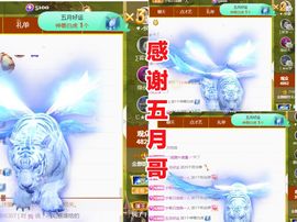 金麒麟好运连连🎤主播照片